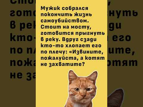 #юмор #смех #смешновидео #анекдоты