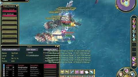 Playpark FlyFF Bug experience gain on my RM.