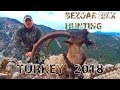 Bezоar Ibex hunting in TURKEY 2018 - Охота в Турции