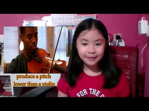 The String Family Violin Viola Cello Bass 2021
