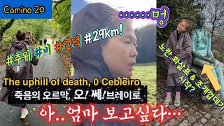 The road to ‘O Cebleiro’, the climb of death! The origin of the yellow arrow and seashell? Camino