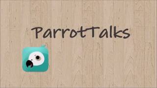 ParrotTalks 教學- 線上隨點隨查英文單字(建議1.25 倍速)