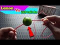 Lemon connecting Directly 220 volt Ac Electricity | Directly 220 volt Ac vs Lemon | lemon Experiment