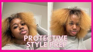 Protective Style Prep (Blow drying Prep for a Protective Style)