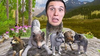 Der WOLF Simulator