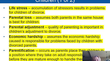Chapter 14 PowerPoint with Video