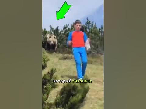 Спасла Всю Семью от Медведя - YouTube