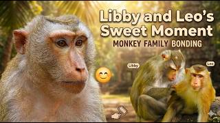 Monkey Family Connection! LIBBY and LEO Share a Surprising Bonding Moment
