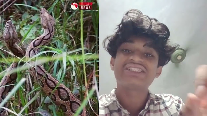 রাসেল ভাইপার নামে গুজব 🤬👺 #রাসেলভাইপার #roast