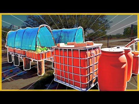 Video: Aquaponic Build: Sistem Yang Berfungsi