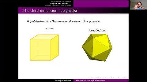 Mathematics in high dimensions: symmetries and viruses, Motiejus Valiunas