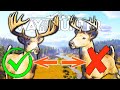 What to Shoot and What Not to Shoot Guide | Way of the Hunter