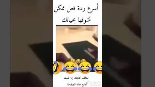 اكتر فيديوا ضحكت عليه بحياتي