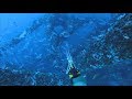 Spearfishing Texas Oil Rig || Blue Water Spearfishing Gulf of Mexico 2019// +CCA Star Tourn. Banquet