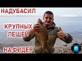 НАДУБАСИЛ КРУПНОГО ЛЕЩА.Рыбалка на фидер