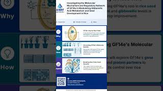Investigating the Molecular Mechanism and Regulatory Network of GF14e in Modulating Gib | ANRF PRISM