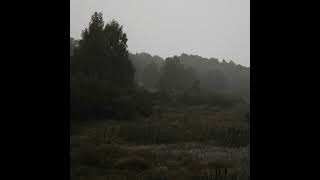 Download Lagu NIVEK FFORHS - Missing Textures (Slowed) MP3