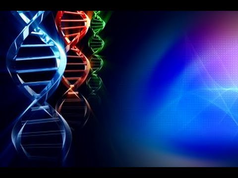 Βίντεο: Τι είναι το γονίδιο και το γονιδίωμα