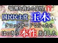 【タロット占い】国民民主党、玉木さんをタロットカードで占ったらはっきり本性出ました。