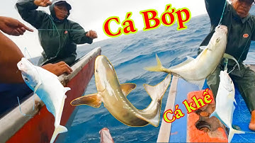 CÂU THU 14_Tuyệt Chiêu Móc Mồi Độc Đáo Để Câu Cá Mú Thông Hiệu Quả_Hốt Trọn Ổ Cá Có Gía Trị Cao