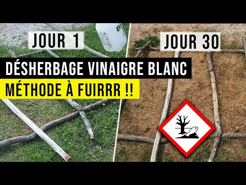 Vidéo: Utiliser des substituts de pelouse pour votre jardin - Savoir-faire en jardinage