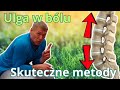 7 SPOSOBÓW na ROZCIĄGNIECIE KRĘGOSŁUPA - rozwiązania dla KAŻDEGO