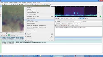 Cách làm 2 đoạn sub tiếng anh và tiếng việt trong Aegisub