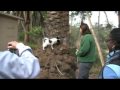 Papillon Club Walk At Balboa Park Part 2 Papillon Club Walk At Balboa Park Part 2