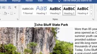 Document Accessibility in Microsoft Word