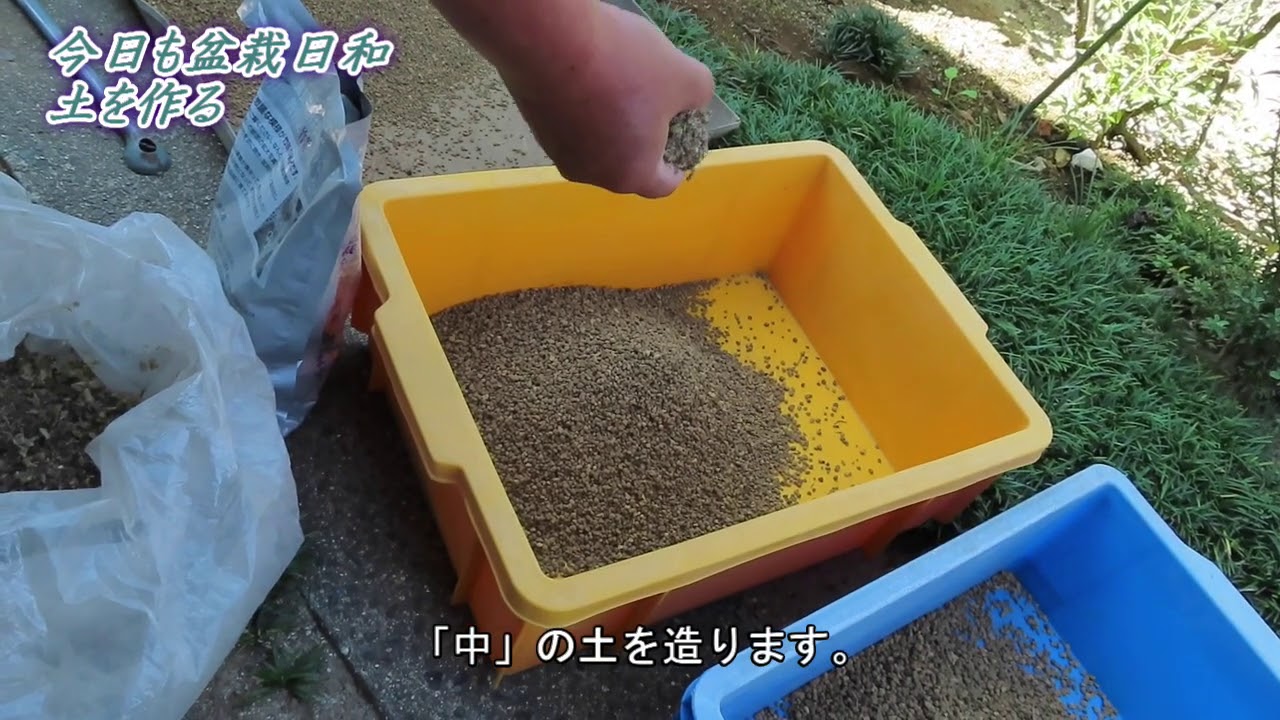 今日も盆栽日和　盆栽の土作り Making bonsai soil