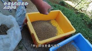 今日も盆栽日和　盆栽の土作り