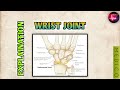 WRIST JOINT EXPLANATION | Joints of Upper Limb | Anatomy | MEDICO