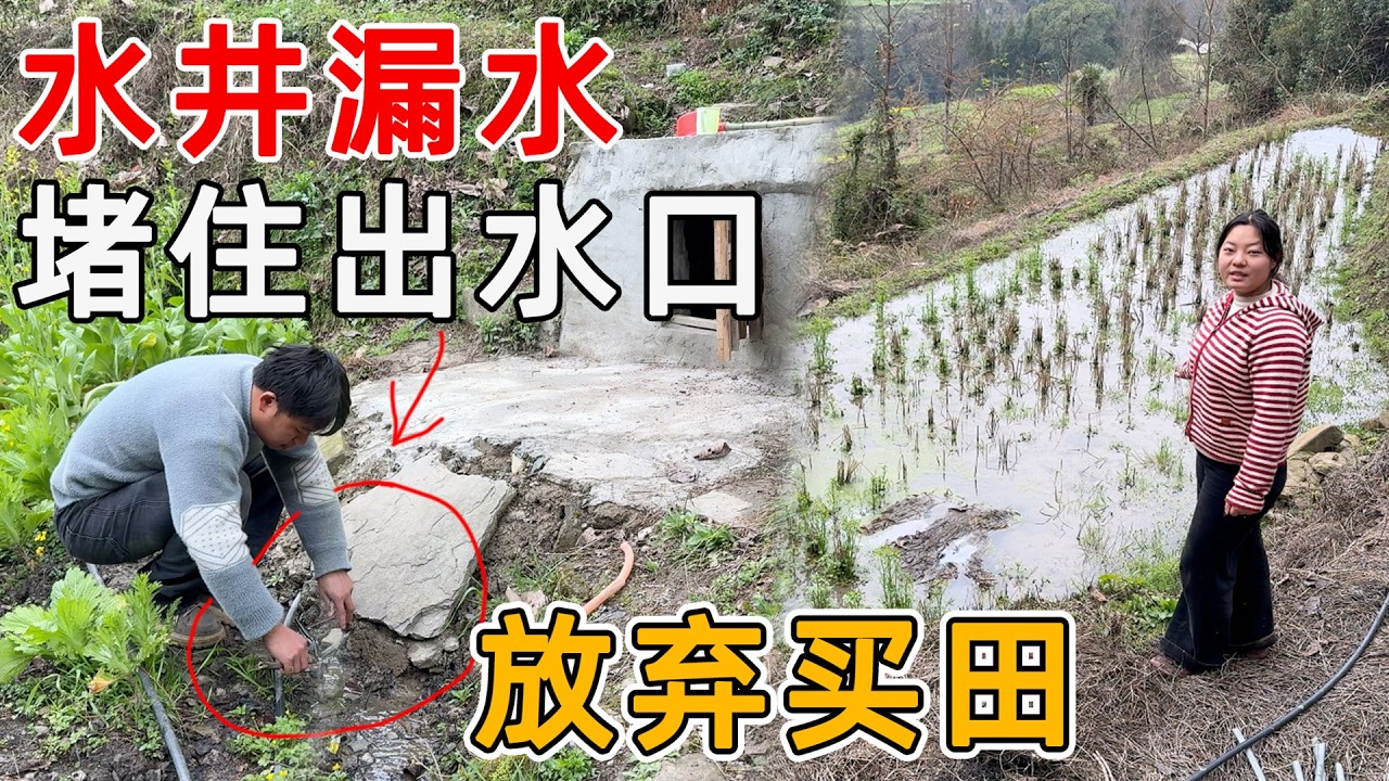 水井的水漏掉浪费了，大家建议重修一个水井蓄水，奈何土地不是我们的  想买的水田原主不卖