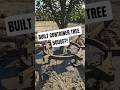 Building full modern treehouse using container 🌳🏡🔥 #build #containerhouse #shorts