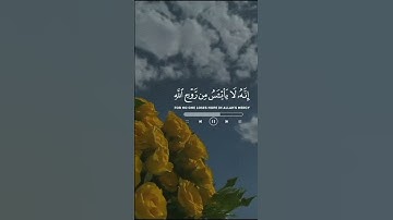سورة يوسف آية 87 القارئ اسلام صبحي