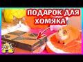 ЧТО ПРИСАЛИ ХОМКЕ? / РАСПАКОВКА ПОСЫЛОК ДЛЯ НАШИХ ПИТОМЦЕВ / Alisa Easy Pets