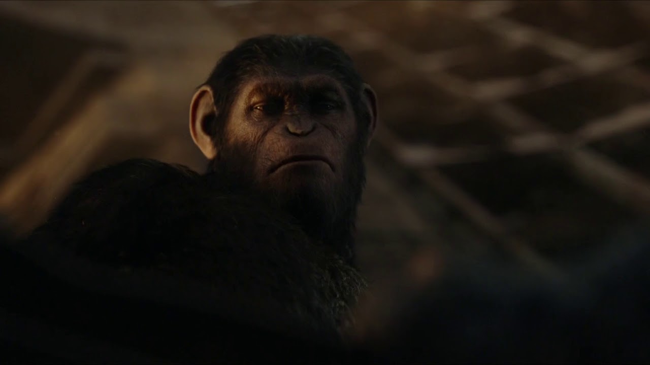 Dawn Of The Of The Apes Caesar Vs Koba aaronshellee