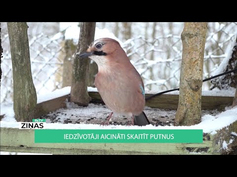 Video: 7 Putni, Kurus Zina Tikai Krievi - Alternatīvs Skats