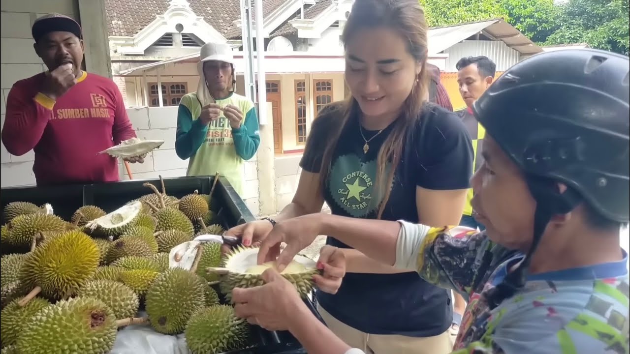 Unboxing berbagai macam durian masak pohon di tempat pengepul cantik.