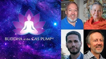 "Sudden or Gradual: Two Paths to Realization?" Direct Path or Progressive Path? - BatGap Discussion