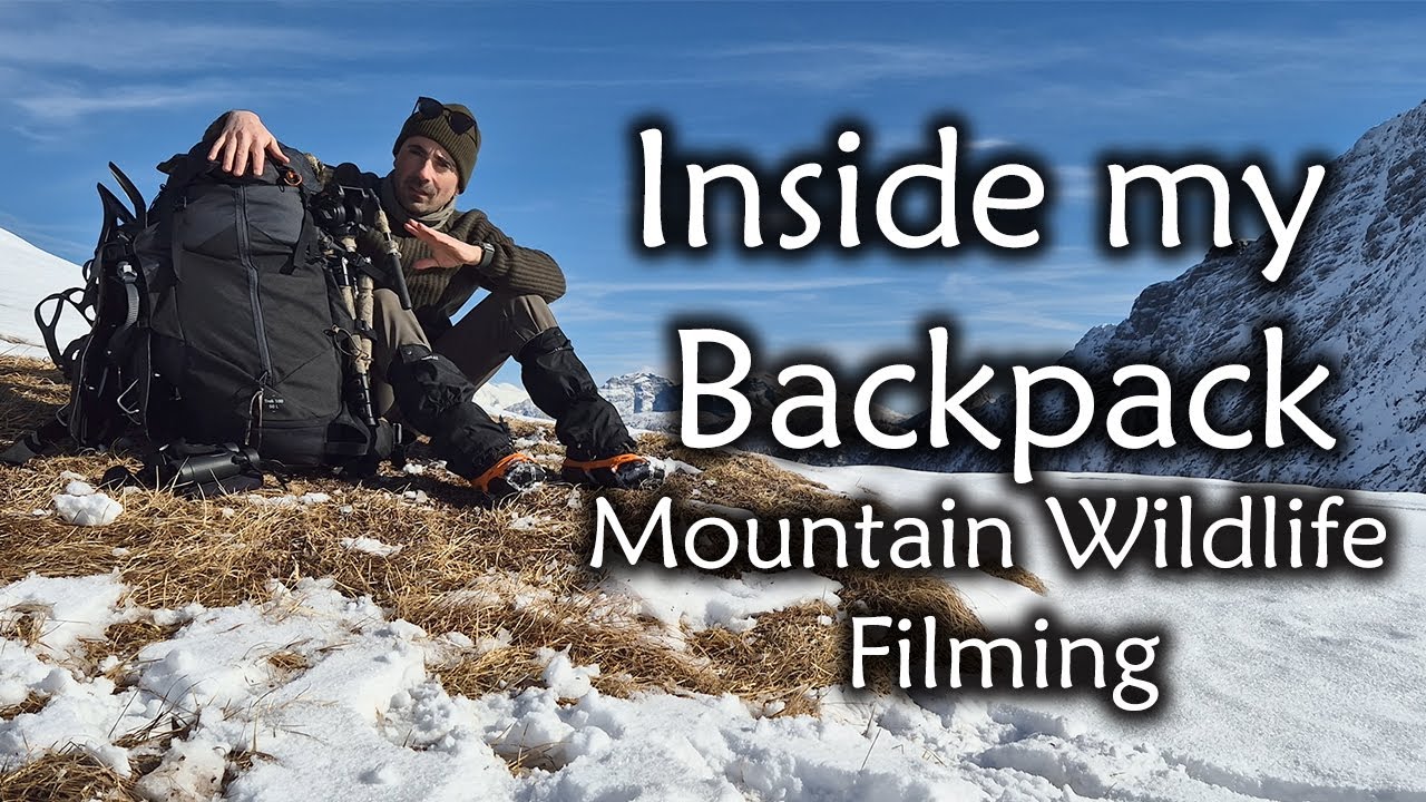 What’s in My Backpack for Winter Wildlife Filming in the Mountains