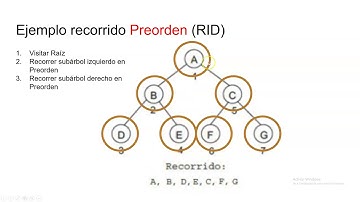 Recorridos de arboles binarios