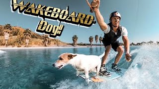 THIS DOG CAN WAKEBOARD!!