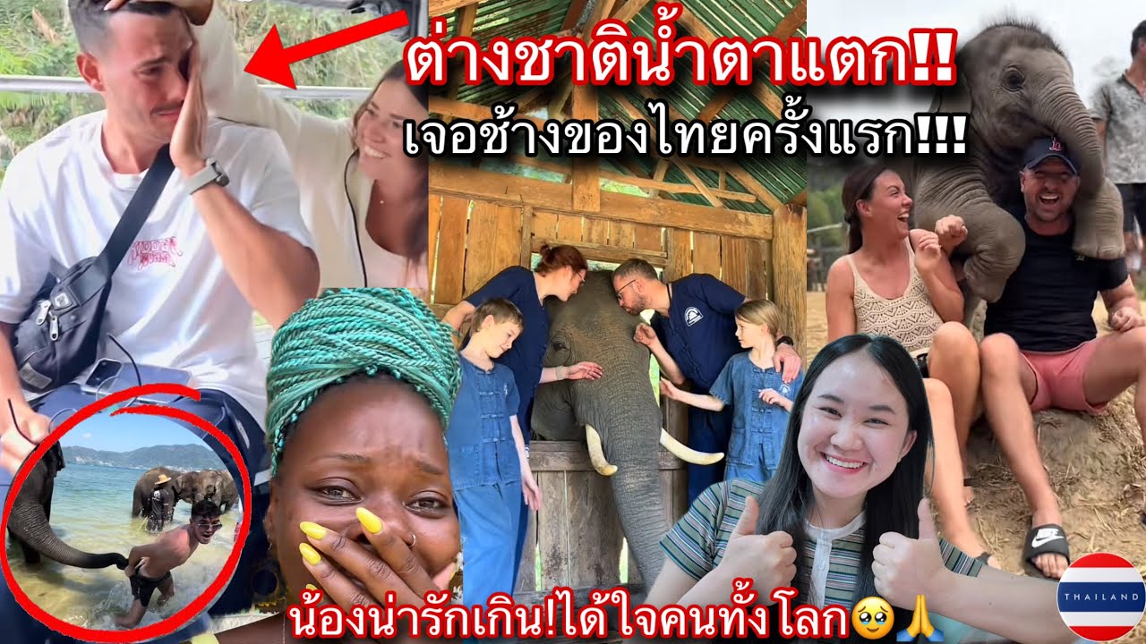 พูดไปใครจะเชื่อ!ต่างชาติน้ำตาแตก มาเที่ยแล้วได้เจอช้างครั้งแรกในชีวิตที่เมืองไทย!🇹🇭ภูมิใจแทนคนไทย😱🥹