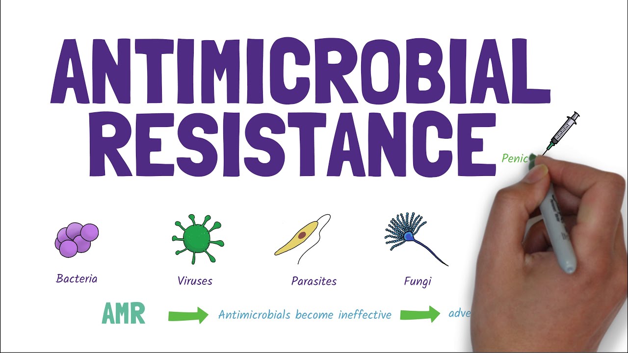 Antimicrobial Resistance (AMR): Stopping the rise of superbugs! 