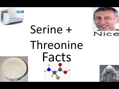 Some Quick Facts About Serine and Threonine