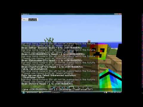 How To Make a Custom Player Head (no mods or plugins