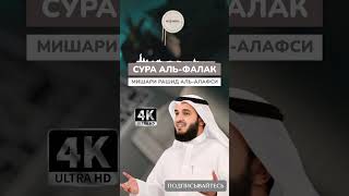 Сура Аль-Фалак | Мишари Рашид Алафаси #коран #quranuz #annas #Alafasy