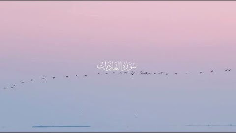 سورة العاديات | عبدالرحمن مسعد 4K