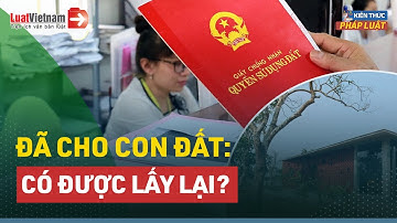 Cha Mẹ Có Được Lấy Lại Đất Đã Cho Khi Con Hư? | LuatVietnam